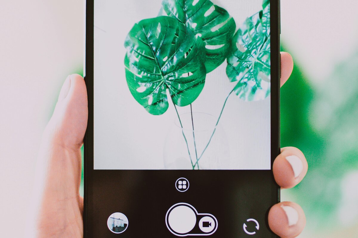 Valokuva-albumi ja digitaalinen tallennuslaite rinnakkain